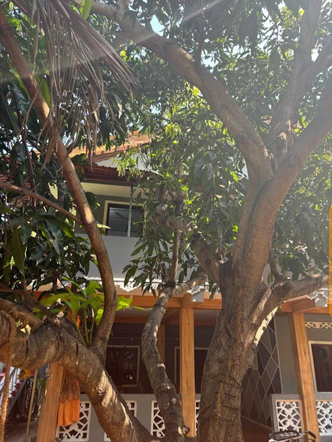 Enoch Guest House Manar Exterior foto